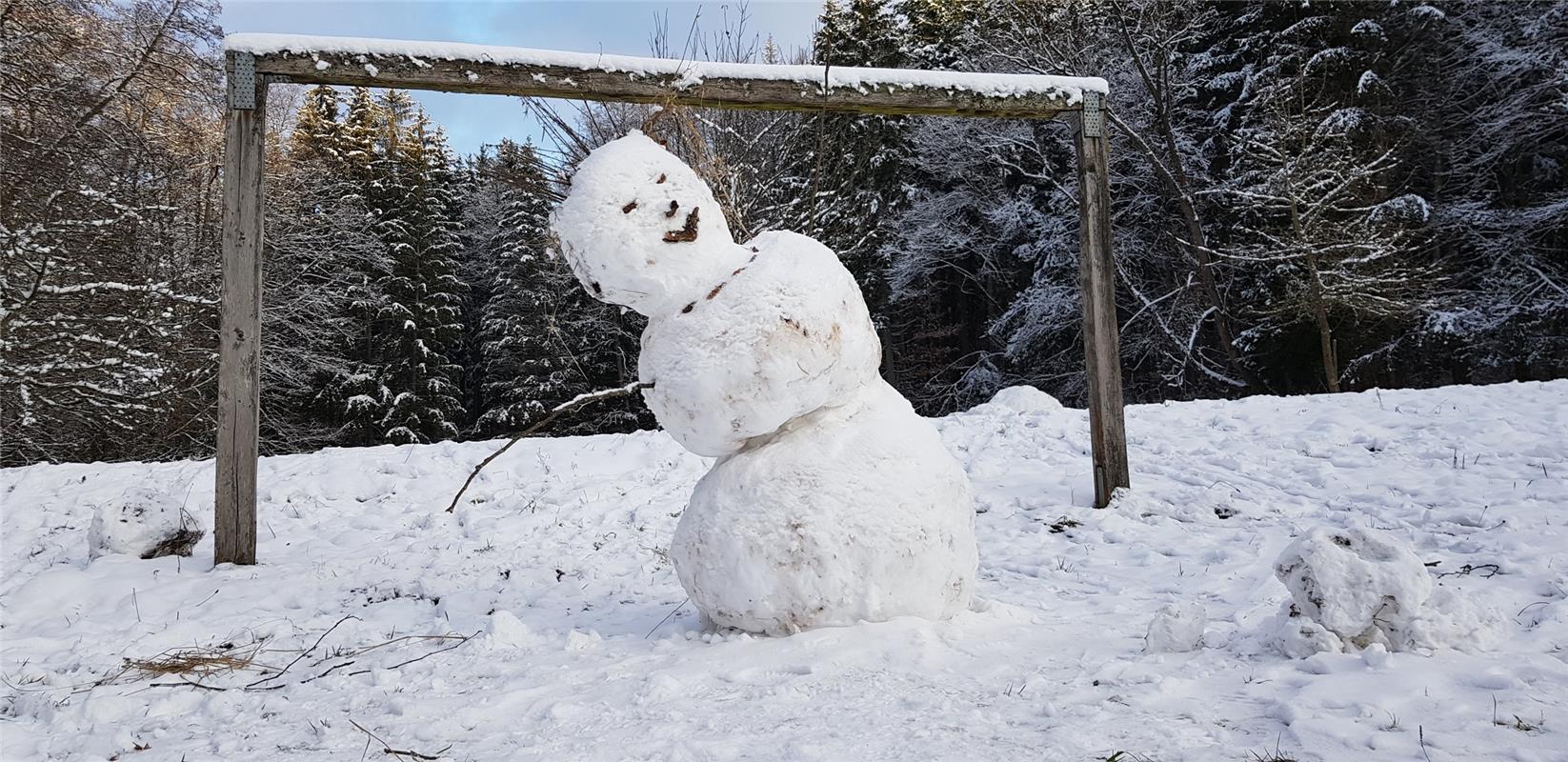 Schneemann-Torwart kurz vor dem Hechtsprung. Martin Schurer hat den sportlichen ...