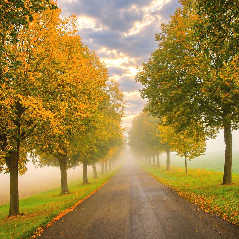 Schön herbstlich ...  Von Natalie Politz aus Hildrizhausen.