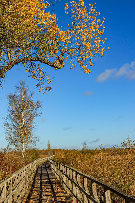 Schön herbstlich ...  Von Natalie Politz aus Hildrizhausen.