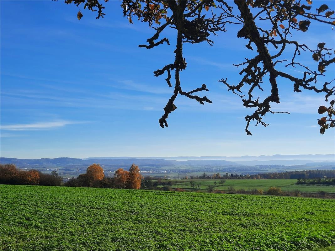 Schöne Aussicht vom Bänkle zwischen Haslach und Nebringen auf die nebelige Schwä...