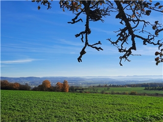 Schöne Aussicht vom Bänkle zwischen Haslach und Nebringen auf die nebelige Schwäbische Alb. Von Heiko Weiß  aus Gäufelden.