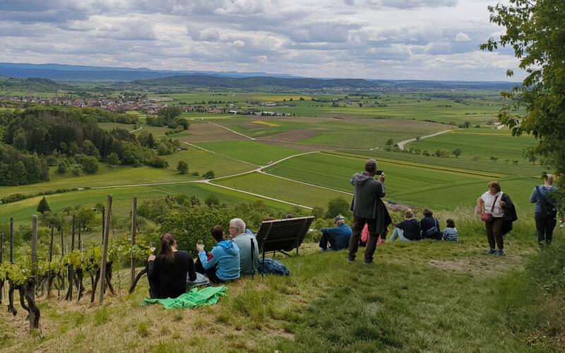 Schöne Aussichten waren beim Weinwandertag inklusive. GB-Foto: Straub