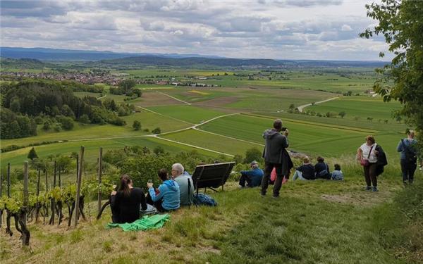 Schöne Aussichten waren beim Weinwandertag inklusive. GB-Foto: Straub