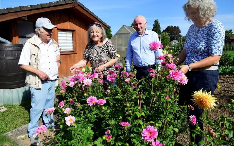 Schöne Blumen erfreuten die Herzen der Besucher. GB-Foto: Holom
