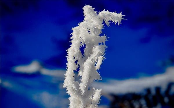Schöne Eiszeit (fotografiert von Simon Röhm aus Nufringen)