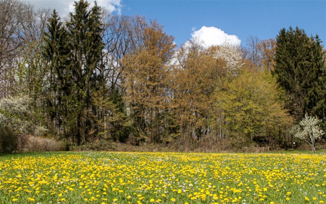 Schöne Farben...  Von Natalie Politz aus Hildrizhausen.