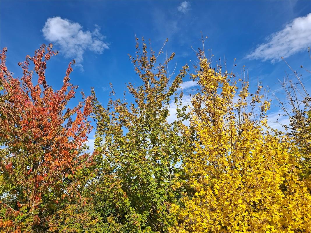 Schöne bunte Farben in Harmonie. So wie in der Natur jedes Wesen einzigartig ist...