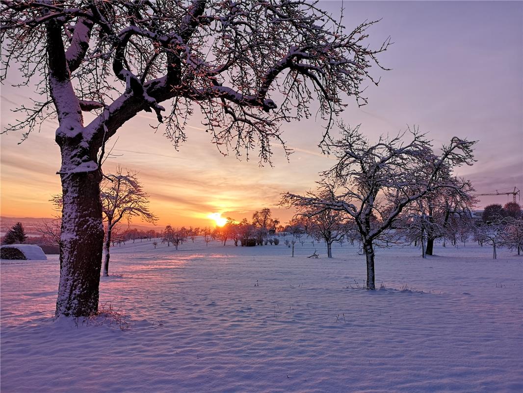 Schöner Sonnenaufgang am Morgen von den Obstbaumwiesen rund um Haslach und Schne...