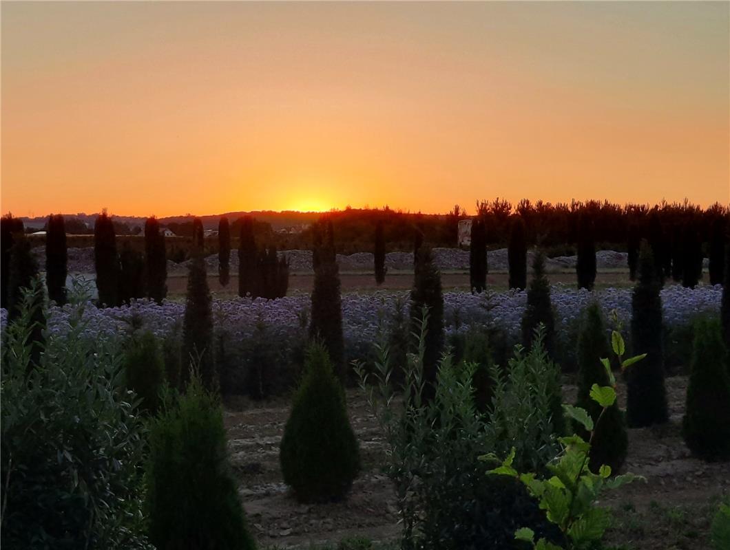 Schöner mediterraner Sonnenuntergang.  Von Heiko Weiß aus Gäufelden.