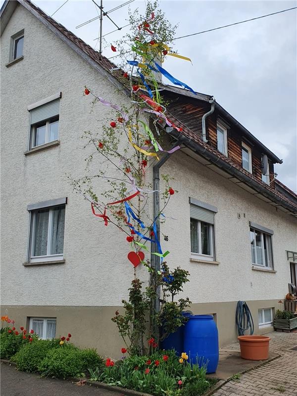 Schönster Maibaum im Gäu. Von Rebecca Patzer aus Bondorf.