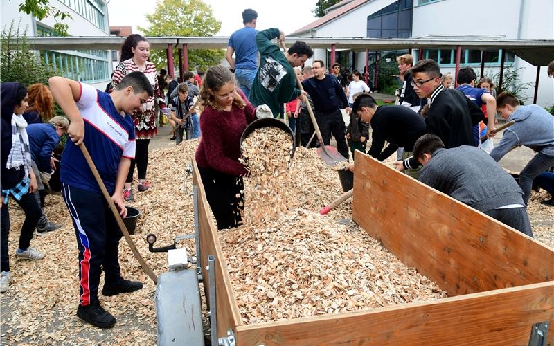 Schüler, Eltern und Lehrer verteilen die Hackschnitzel GB-Foto: Holom