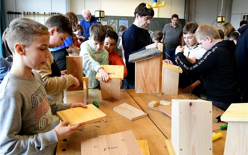 Schüler zeigen bei einer Nistkastenaktion mit dem Naba beherzten Einsatz.GB-Foto: Holom