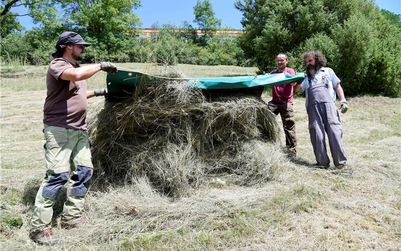 Schweißtreibende Landschaftspflege im Kochartgraben