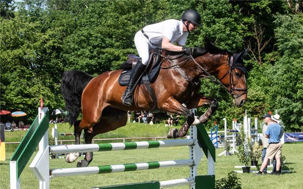 Sebastian Dietterle von der TV Reitgemeinschaft Gültstein wurde in der Zweisterne-M-Springprüfung zum Abschluss des Jettinger Pfingstturniers auf Olala van Vressel Dritter. GB-Foto: Schmidt