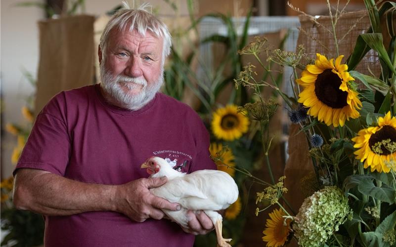Seit 60 Jahren züchtet Gerhard Stähle Zwergwyandotten-Hühner. GB-Foto: Vecsey