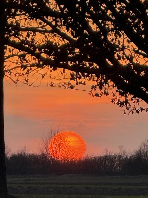 Selbst in Rohrau geht mal die Sonne unter.  Von Dr. Sabina Steinmann aus Gärtrin...