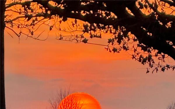 Selbst in Rohrau geht mal die Sonne unter(fotografiert von Dr. Sabina Steinmann aus Rohrau)