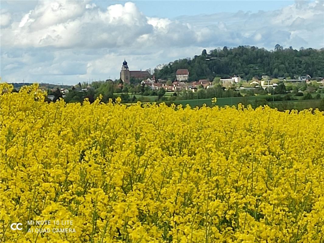 Sicht auf die Herrenberger Glucke vom Spaziergang kommend von Gäufelden in Richt...