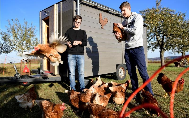 Simon Krauß (rechts) und Leon Deutsch kümmern sich engagiert um ihre Hühner GB-Foto: Holom