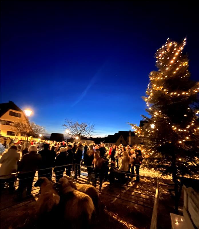 Singen unterm Tannenbaum (in diesem Jahr mit tierischem Hinweis auf den Stall vo...