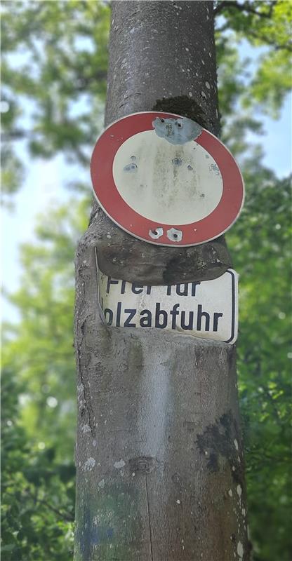 So kann es einem Verkehrsschild auch gehen. Von Natalie Politz aus Hildrizhausen...