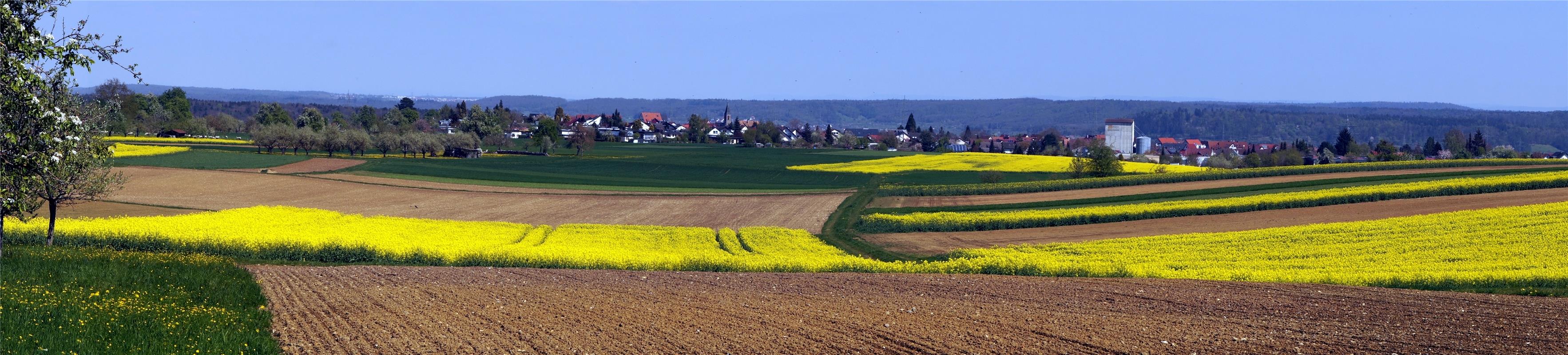 So sah es aus im Jahre 2022!  Von Klaus Pfisterer aus Herrenberg.