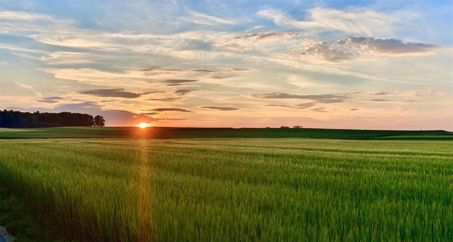 So schön kann der Sonnenuntergang im Gäu sein, findet Minja Rollinson aus Gäufel...