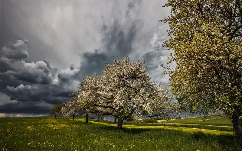 Warnstufe „Rot“: Schweres Unwetter mit Gewitter, Sturm und Hagel möglich!