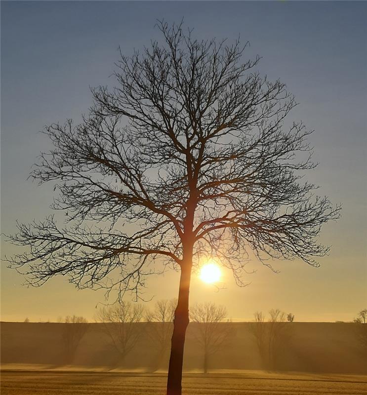 "Solch eine Morgenstimmung einzufangen,  ist immer wieder ein schönes Motiv. Noc...