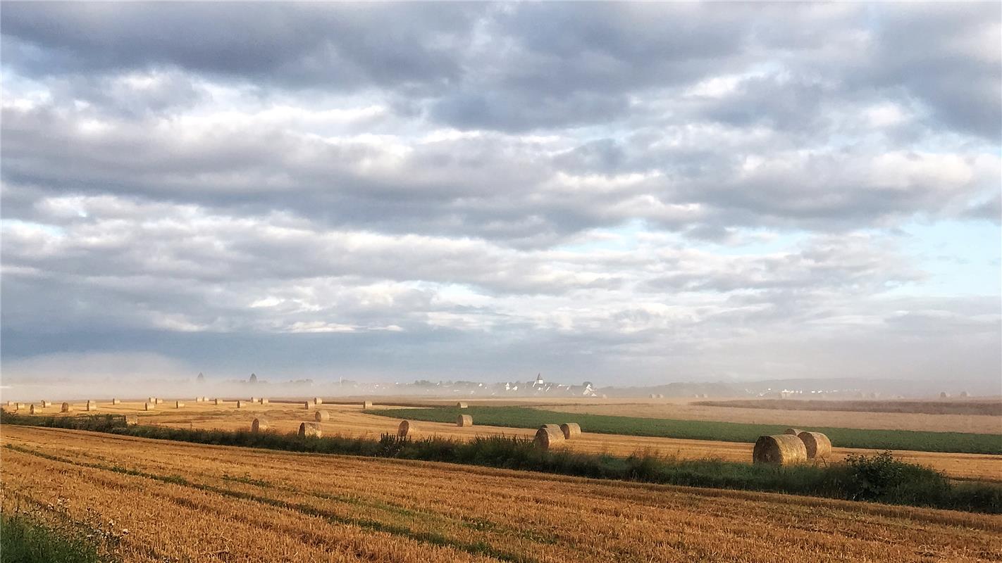 Sommer? Herbst? Anja Schnotz ist sich bei diesem Anblick zwischen Tailfingen und...