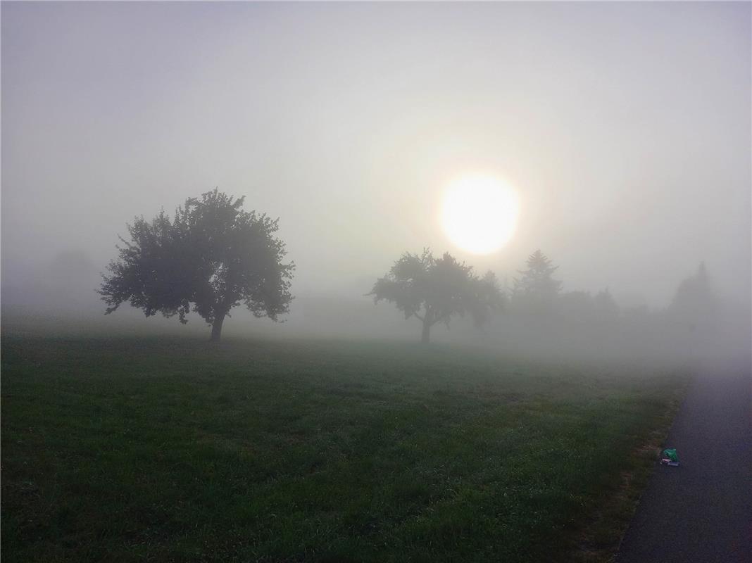 Sommernebel am Mittwochmorgen in Oberjesingen (Richtung Sportplatz). Von Gudrun ...