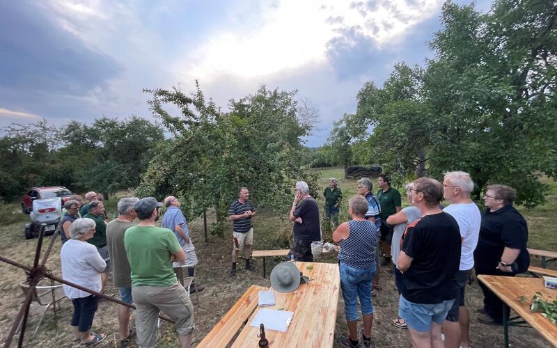 Sommerschnittkurs beim OGV Gäufelden