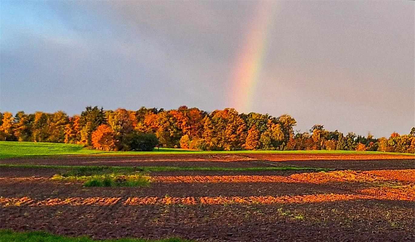 Sonne, Wolken, Regenbogen und starker Wind ...  Von Natalie Politz aus Hildrizha...