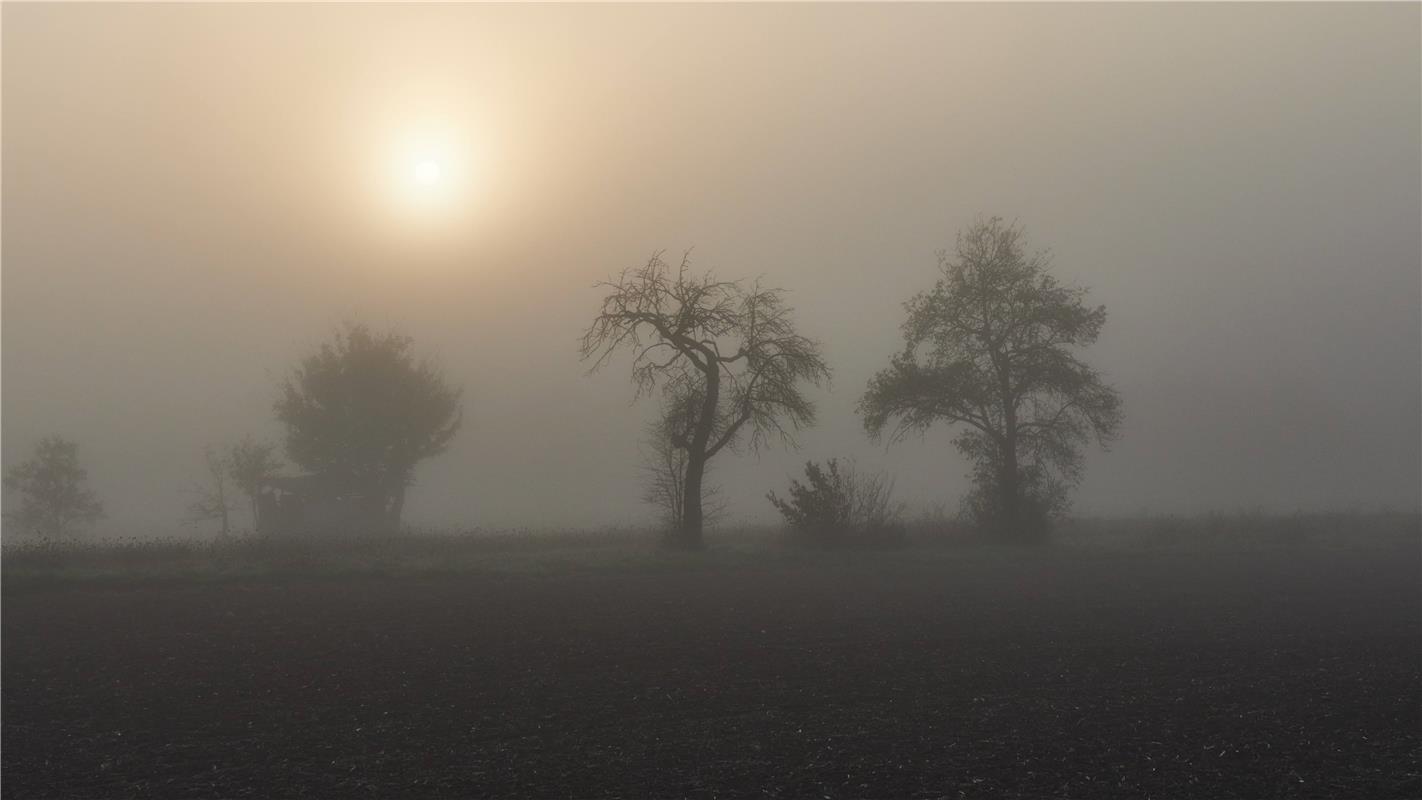 Sonne contra Nebel.... Von Anne Biedermann aus Herrenberg.