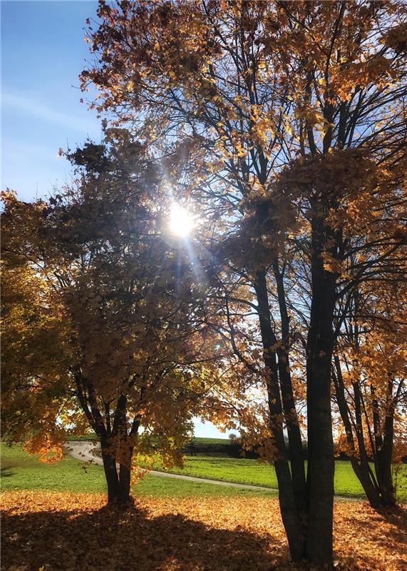 Sonne satt am 31.Oktober genoss Anja Schnotz aus Gäufelden in Hailfingen. 