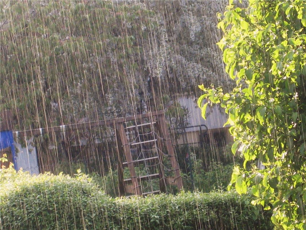 Sonne und Schnürlesregen gleichzeitig! Von Frank Winter aus Nebringen.