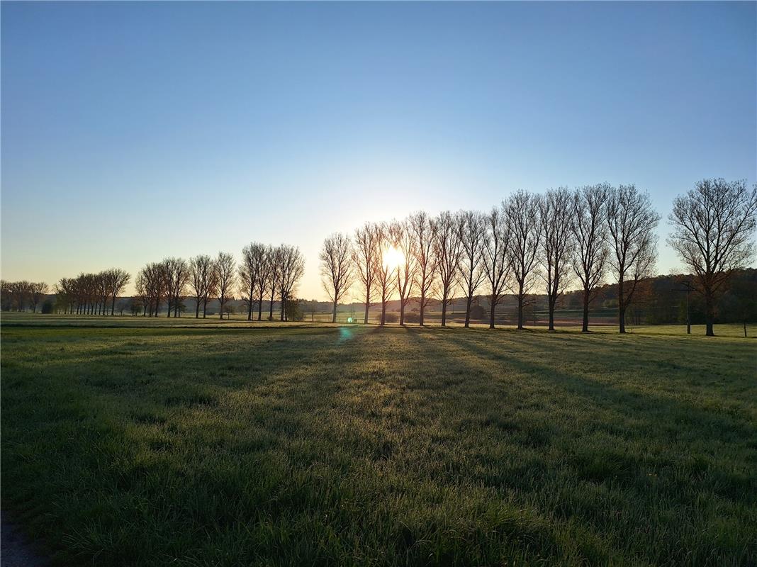 Sonnenaufgang ...  Von Maxime Chéramy aus Rohrau.