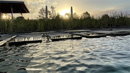 Sonnenaufgang im Herrenberger Naturfreibad aus der Perspektive des Frühschwimmers. Von Michael Juhasz aus Herrenberg.
