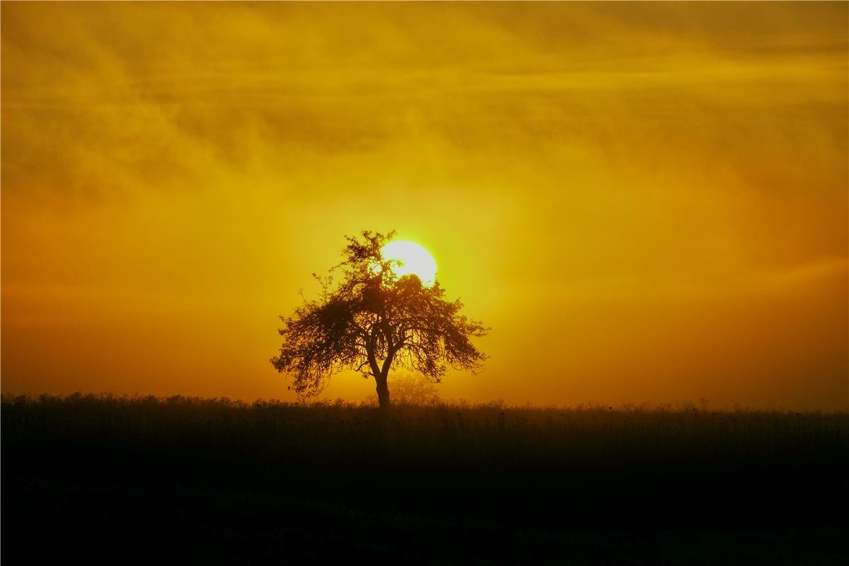 Sonnenaufgang im Nebel. Von Eckbert Kaiser aus Hailfingen.