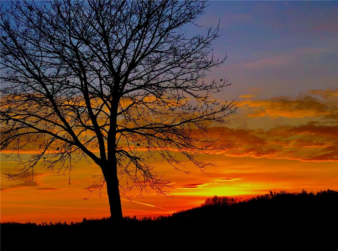 Sonnenaufgang in Seebronn, von Eckbert Kaiser aus Hailfingen festgehalten. 