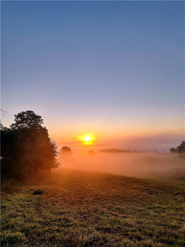 Sonnenaufgang über Herrenberg am 12. September 2022. Von Eva Althoff-Nüßle aus H...