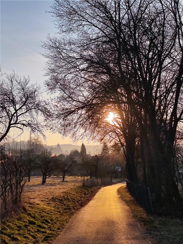 Sonnenaufgang über Herrenberg. Von Eva Althoff-Nüßle aus Herrenberg.