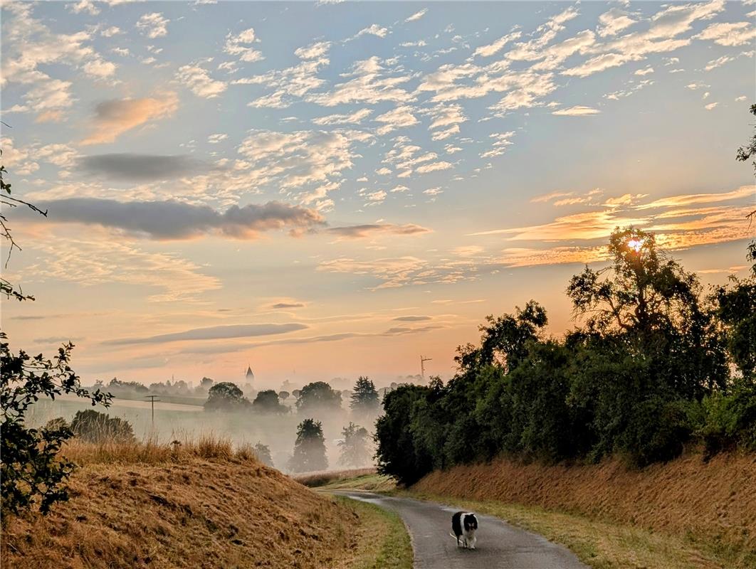 Sonnenaufgang über Kuppingen mit Thori im Vordergrund.  Von Eva Althoff-Nüßle au...