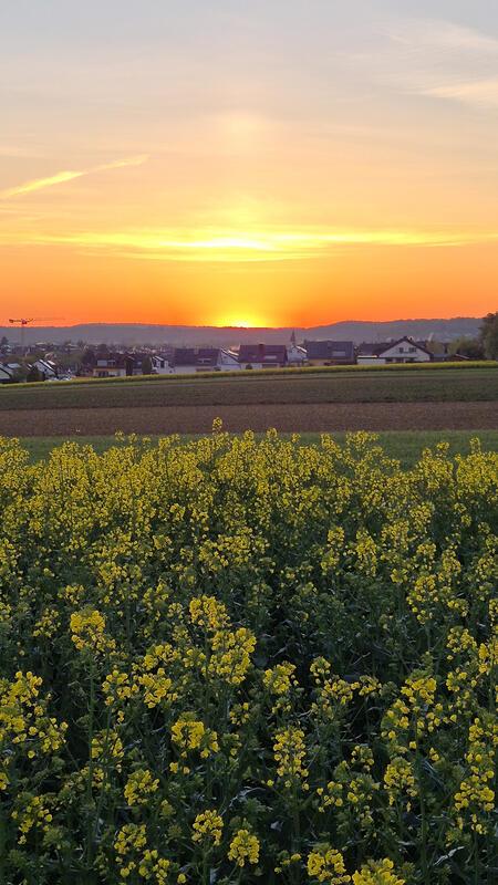 Sonnenaufgang über Nufringen. Von Mirijam Krämer aus Nufringen.