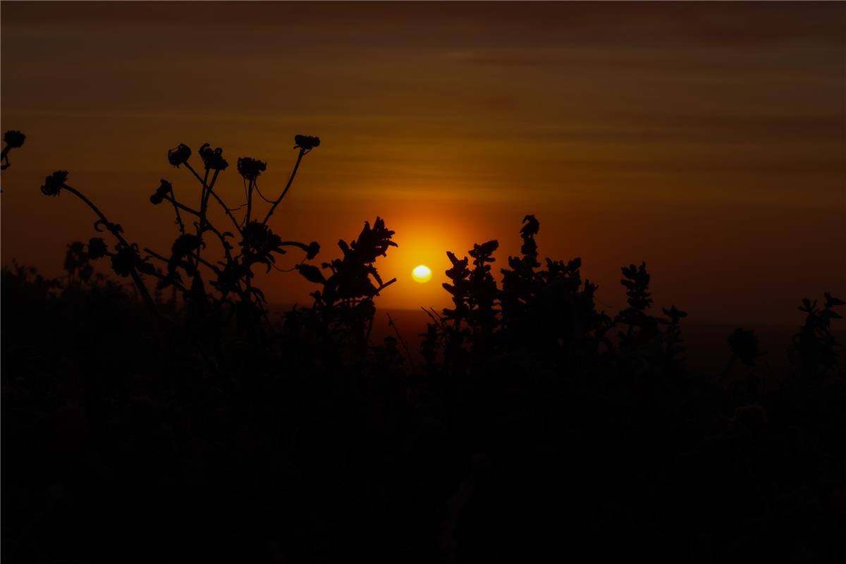 Sonnenaufgang über Oberjettingen: Matthias Seeger aus Nagold  war  beim Wanderpa...