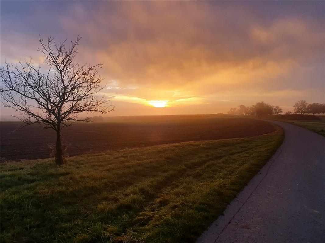 "Sonnenbrand am frühen Morgen* nennt Dieter Freund aus Herrenberg seien Lesersch...