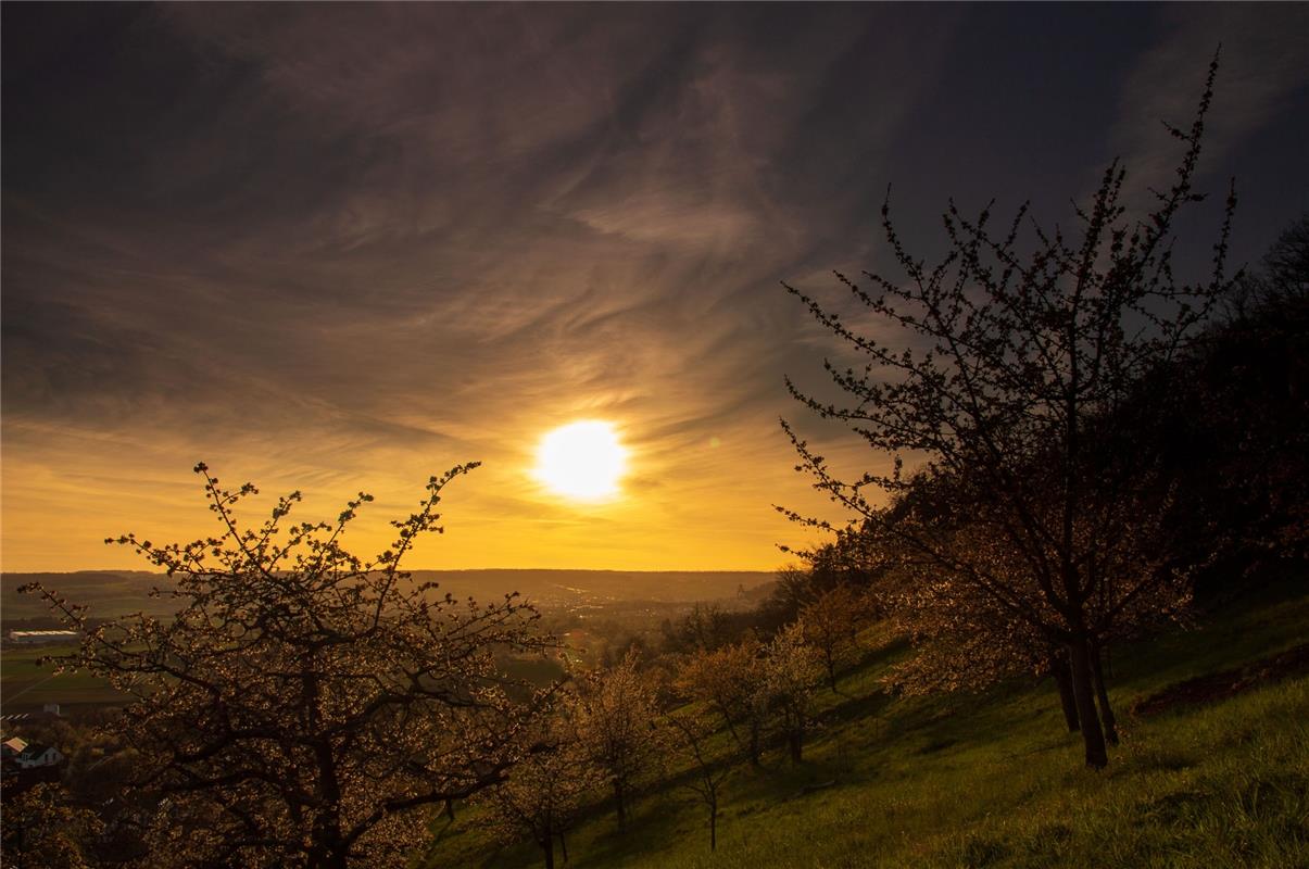 Sonnenuntergang bei Mönchberg und im Vordergrund die blühenden Kirschbäume, fets...