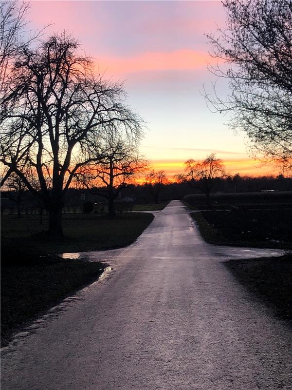 Sonnenuntergang - die Ruhe im Corona-Lockdown, einfach genießen: Nicole Rudolph ...