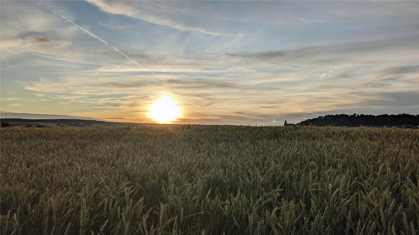 Sonnenuntergang im Weizenmeer Gültsteins. Susanne Marquardt genoss den Anblick. 