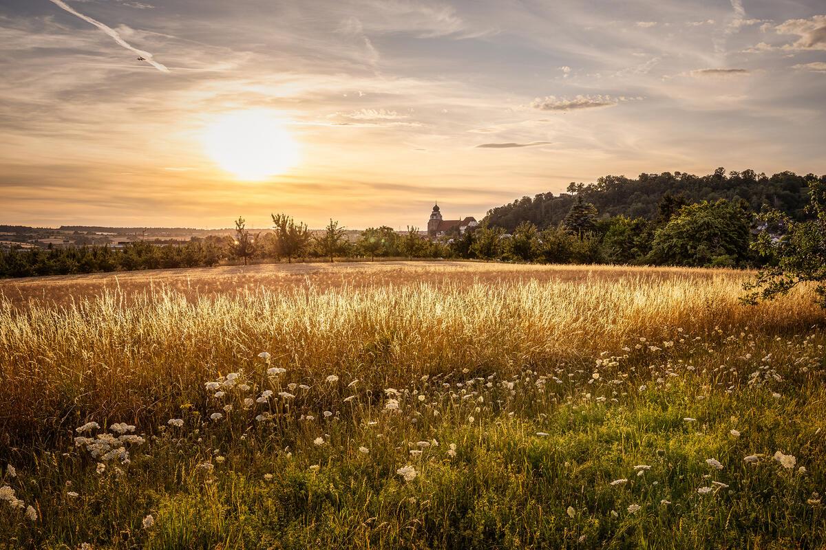 Sonnenuntergang in Herrenberg – das Licht zaubert eine wunderschöne Stimmung, al...
